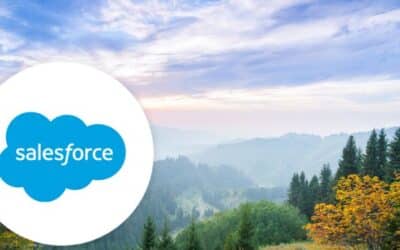 Marketing Automation & Salesforce NPSP: A Nonprofit Case Study